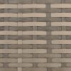 Patio Reclining Chair with Cushions Light Brown Poly Rattan